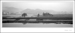 Wuyuan xpan018 bw