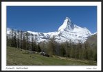 Frame__MG_2647 e
