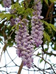 IMG_2191017
