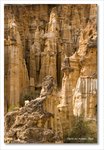 Frame_IMG_9047 e