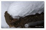 Frame_IMG_8730 e
