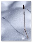 Frame_IMG_8732 ec