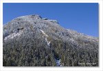 Frame_IMG_8735 e
