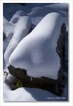 Frame_IMG_8741 e