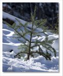Frame_IMG_8755 ec