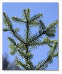 Frame_IMG_8756 ec