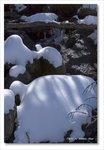 Frame_IMG_8764 e