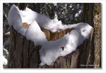 Frame_IMG_8773 e