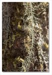 Frame_IMG_8778 e