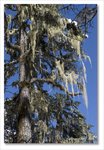 Frame_IMG_8790 e