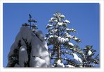 Frame_IMG_8793 e