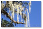 Frame_IMG_8794 e