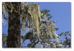Frame_IMG_8800 e
