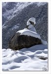 Frame_IMG_8810 e