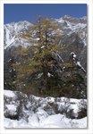 Frame_IMG_8812 e