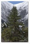 Frame_IMG_8817 e