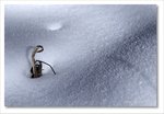 Frame_IMG_8818 ec