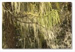 Frame_IMG_8830 e