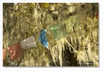 Frame_IMG_8832 e