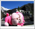 
Kapo is longing for a cable car ride
IMG_7788