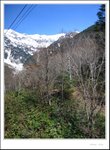 IMG_7798