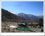 IMG_7805