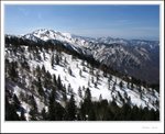IMG_7818