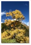 Frame_IMG_8304 e