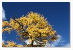 Frame_IMG_8305 e