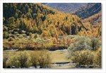 Frame_IMG_8307 e