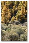 Frame_IMG_8308 e