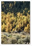 Frame_IMG_8309 e