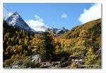 Frame_IMG_8310 e