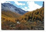 Frame_IMG_8311 e