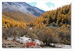 Frame_IMG_8314 e