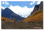 Frame_IMG_8318 e