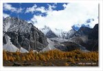 Frame_IMG_8320 e
