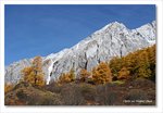 Frame_IMG_8321 e