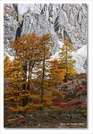 Frame_IMG_8330 e