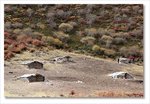 Frame_IMG_8334 e