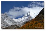 Frame_IMG_8335 e