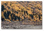 Frame_IMG_8342 e