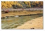 Frame_IMG_8345 e