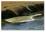 Frame_IMG_8356 e