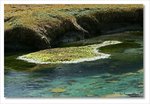 Frame_IMG_8358 e
