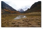Frame_IMG_8359 e