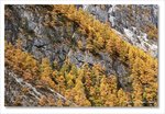 Frame_IMG_8366 e