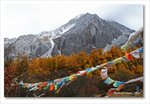 Frame_IMG_8367 e
