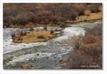 Frame_IMG_8371 e