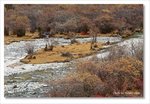 Frame_IMG_8372 e